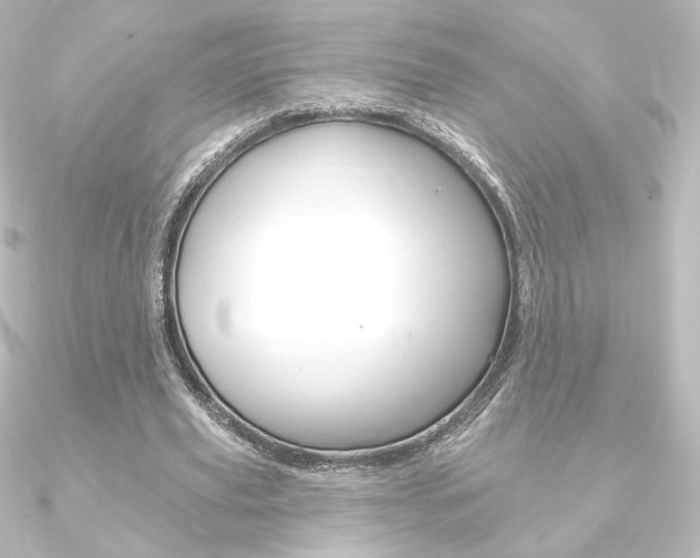 X0000090950629200708021102