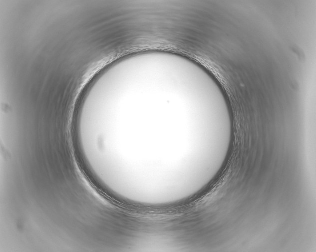 X0000090950630200708021102