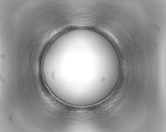 X0000090950631200708021102