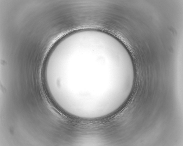 X0000090950632200708021102