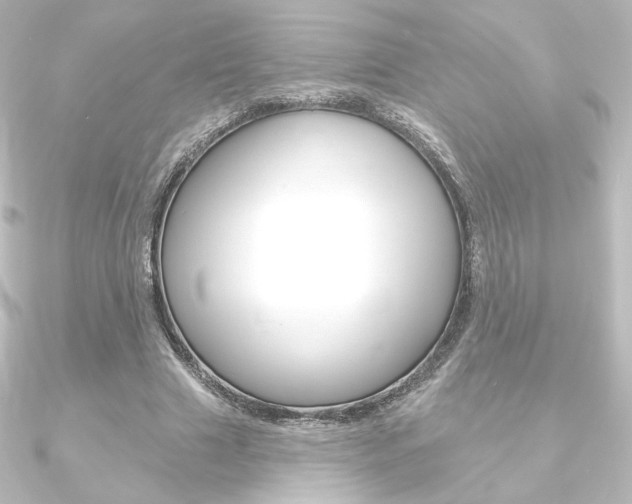 X0000090950633200708021102