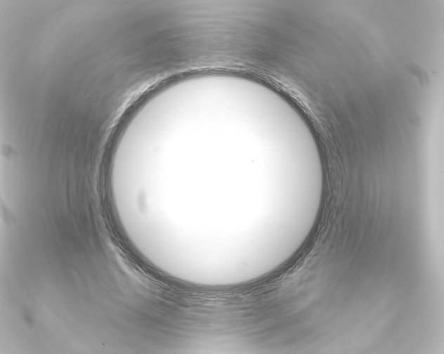 X0000090950636200708021102