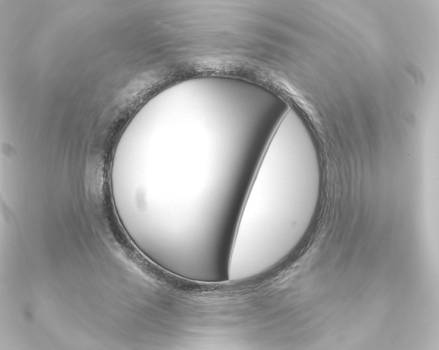 X0000090950637200708021102