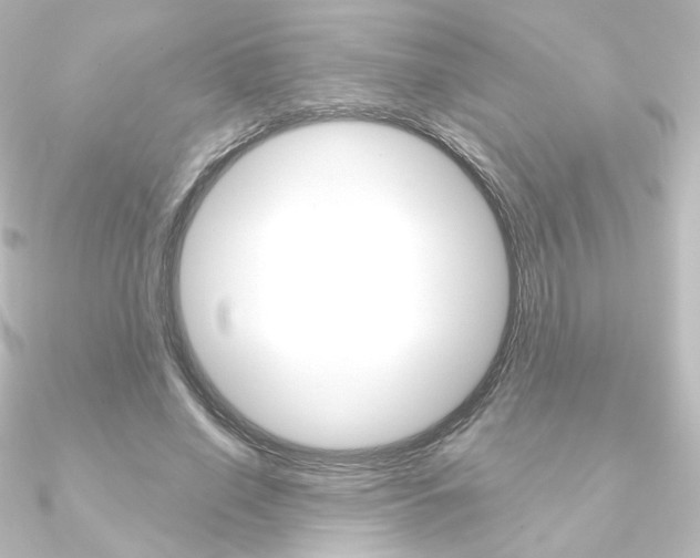X0000090950638200708021102