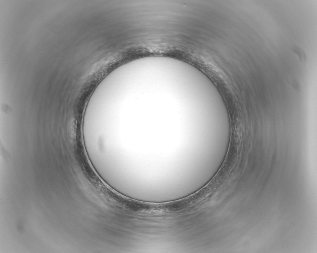 X0000090950639200708021102