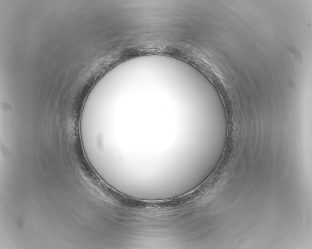 X0000090950641200708021102