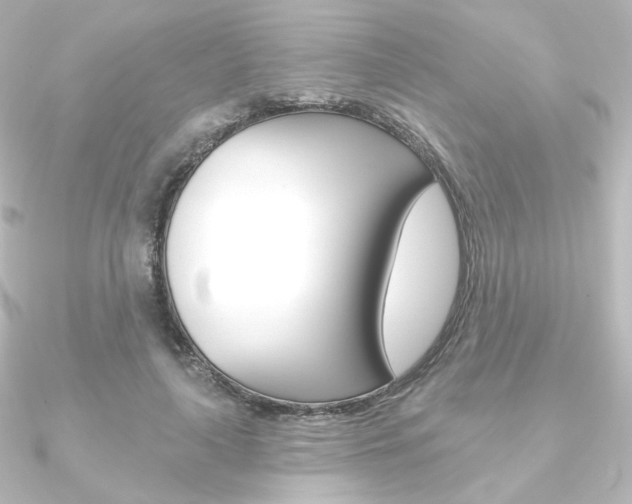 X0000090950643200708021102