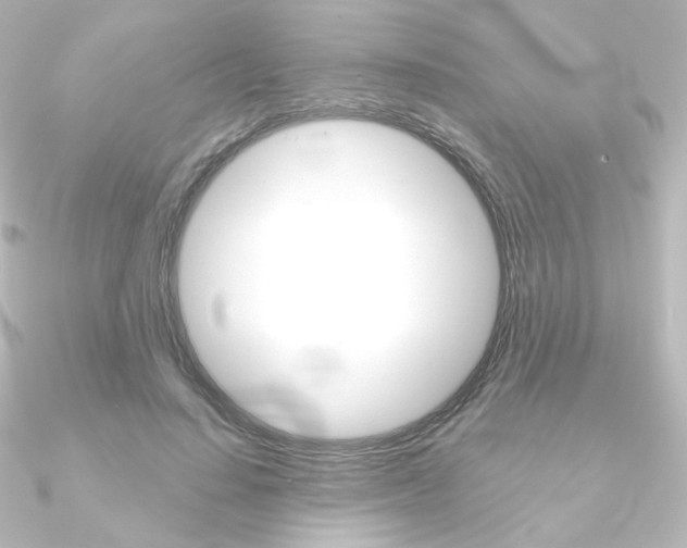 X0000090950644200708021102
