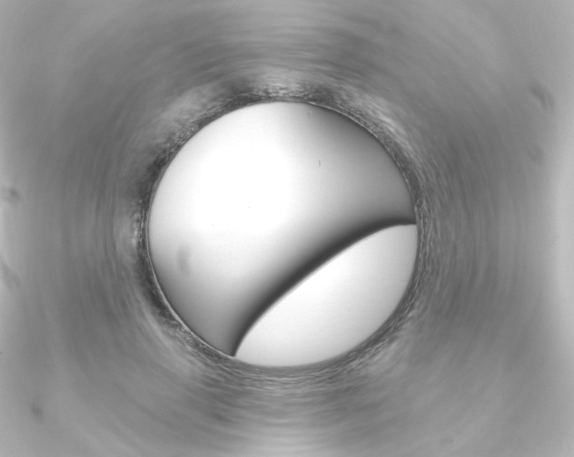 X0000090950645200708021102