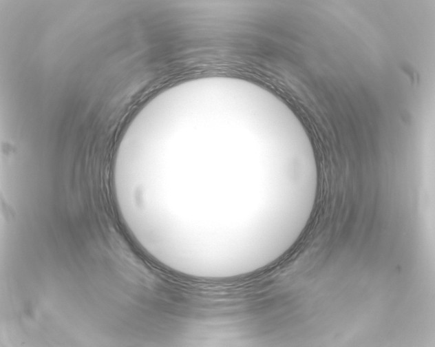X0000090950650200708021102