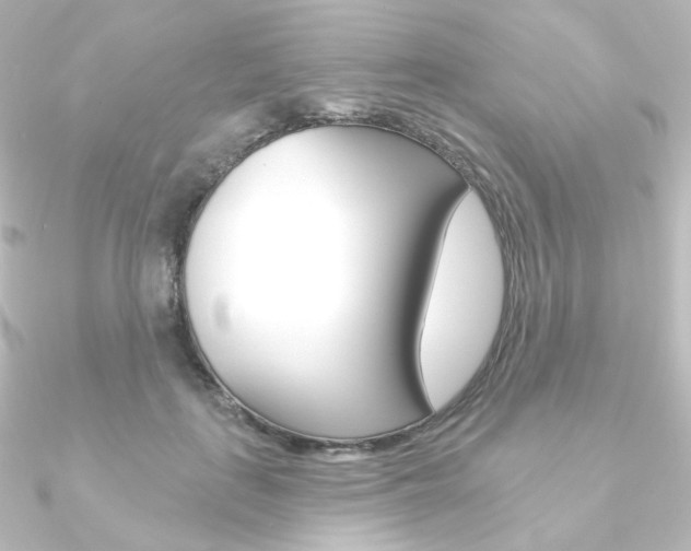 X0000090950651200708021102