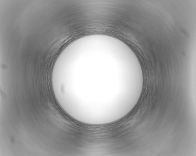 X0000090950652200708021102