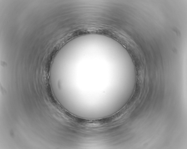 X0000090950653200708021102