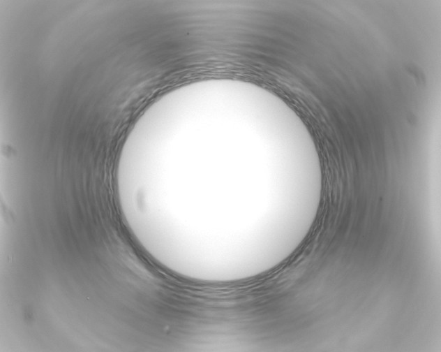 X0000090950654200708021102
