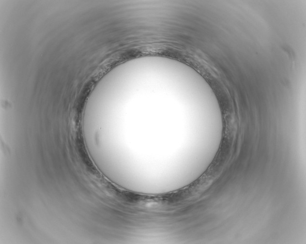 X0000090950655200708021102