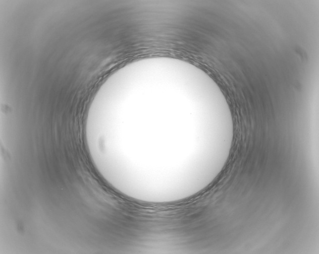 X0000090950656200708021102
