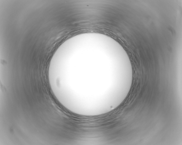 X0000090950658200708021102