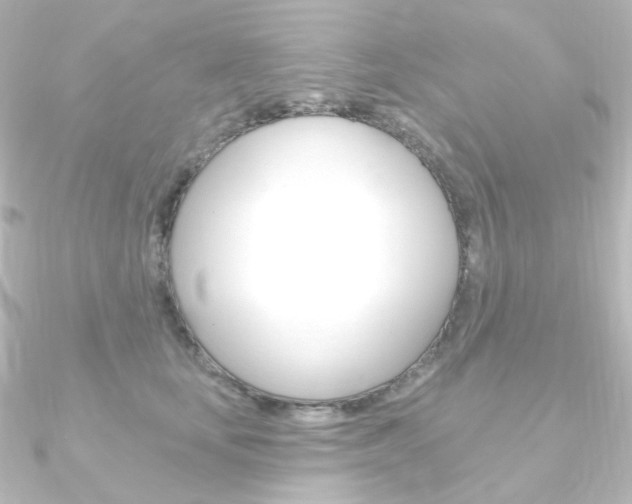 X0000090950659200708021102