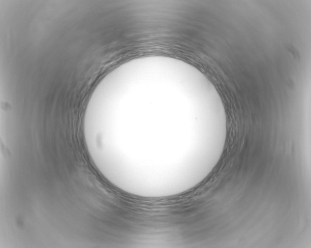 X0000090950660200708021102