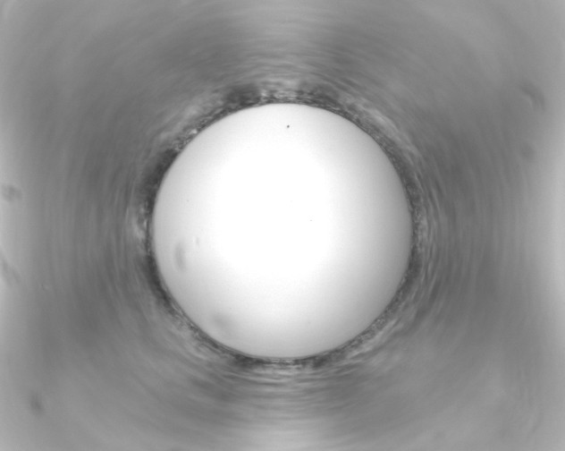 X0000090950661200708021102