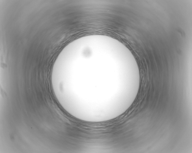X0000090950662200708021102