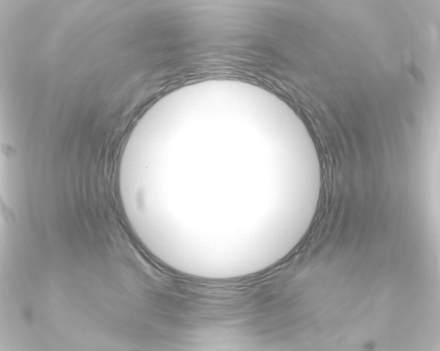 X0000090950664200708021102