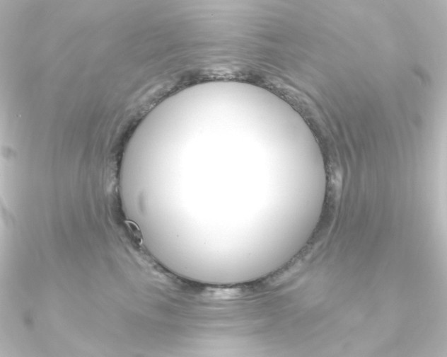 X0000090950665200708021102