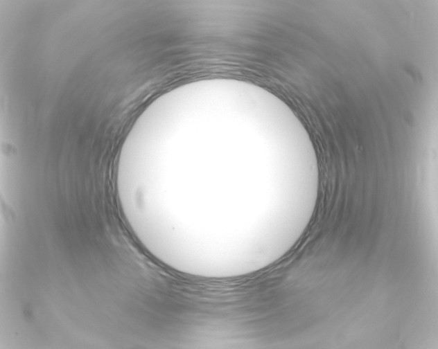 X0000090950666200708021102