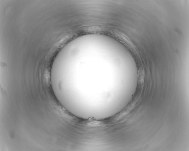 X0000090950669200708021102