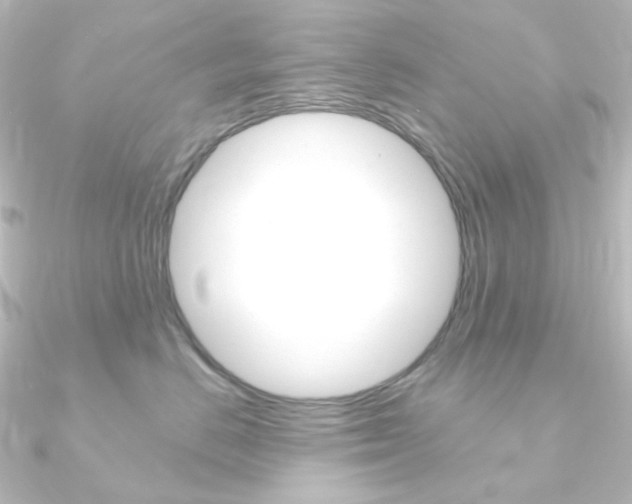 X0000090950670200708021102