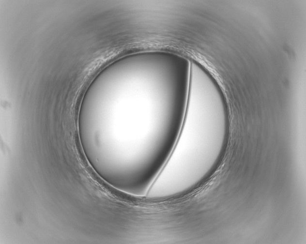 X0000090950673200708021102
