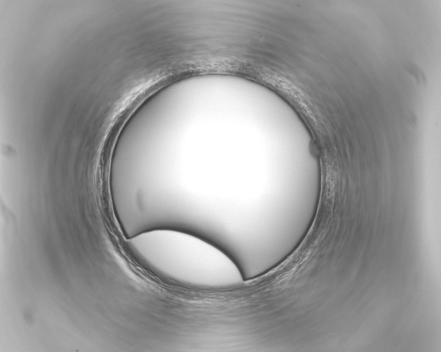 X0000090950674200708021102