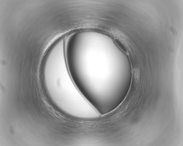 X0000090950676200708021102