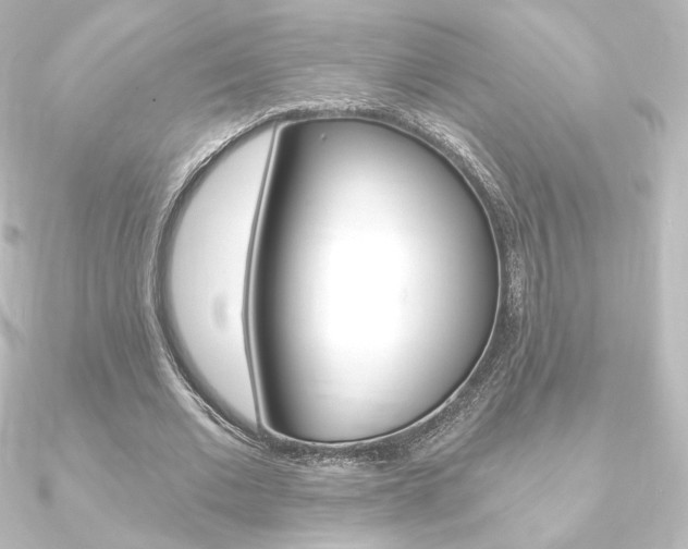 X0000090950677200708021102