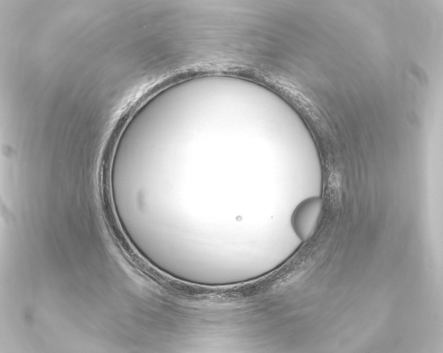 X0000090950678200708021102