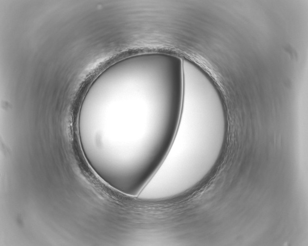 X0000090950680200708021102