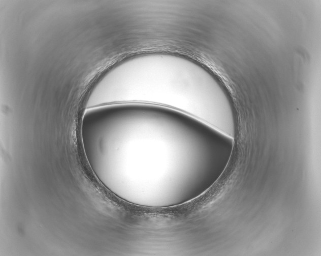 X0000090950681200708021102