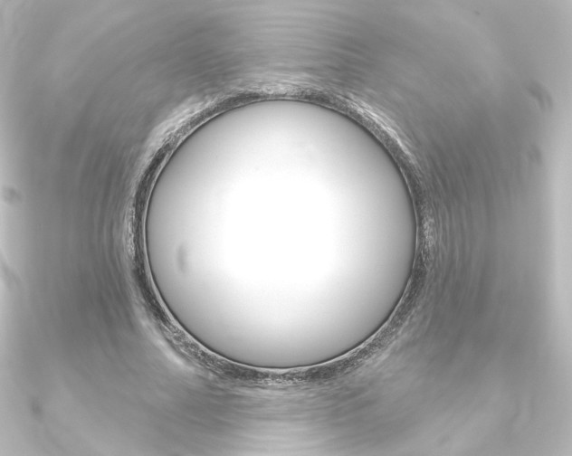 X0000090950682200708021102