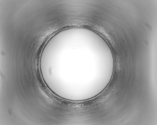 X0000090950683200708021102