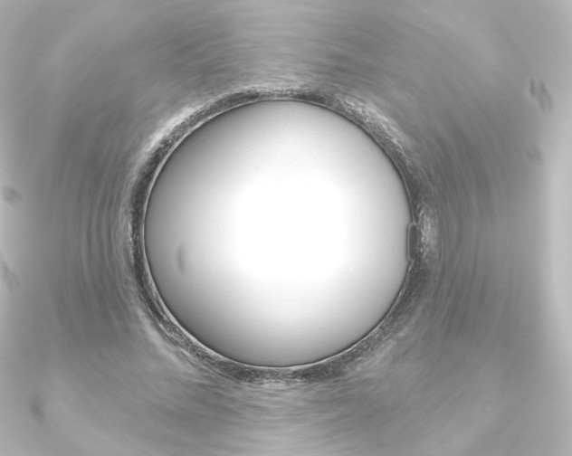X0000090950684200708021102