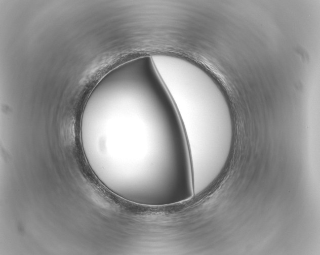 X0000090950685200708021101