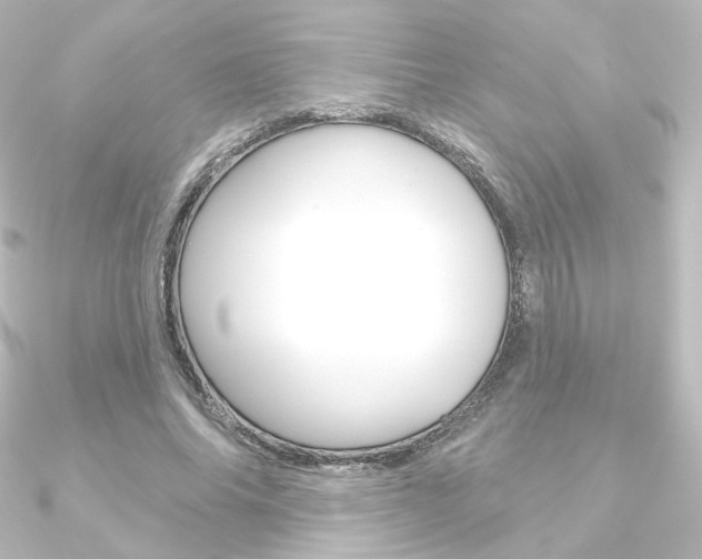 X0000090950686200708021101