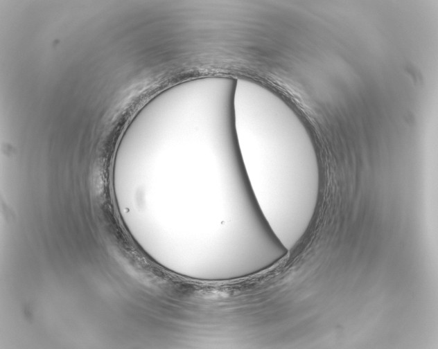 X0000090950687200708021101