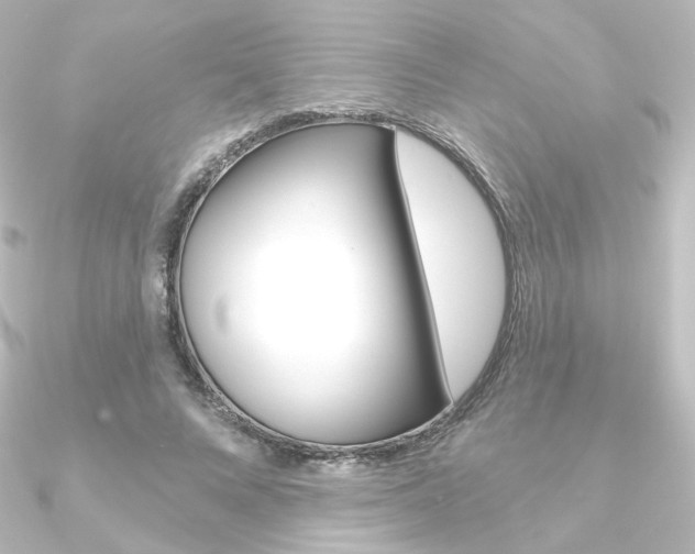 X0000090950688200708021101
