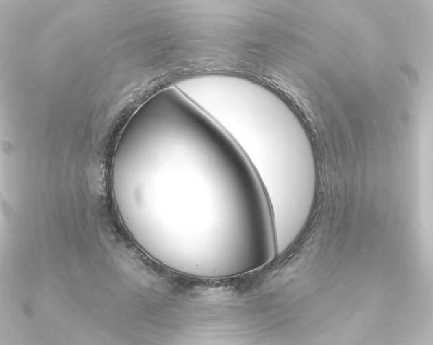 X0000090950689200708021101