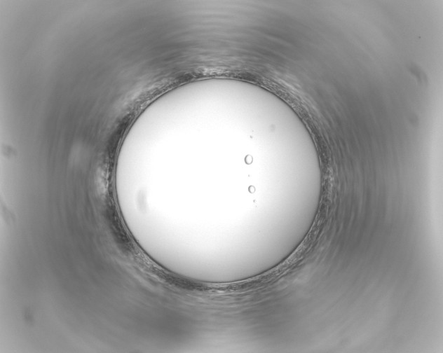 X0000090950691200708021101