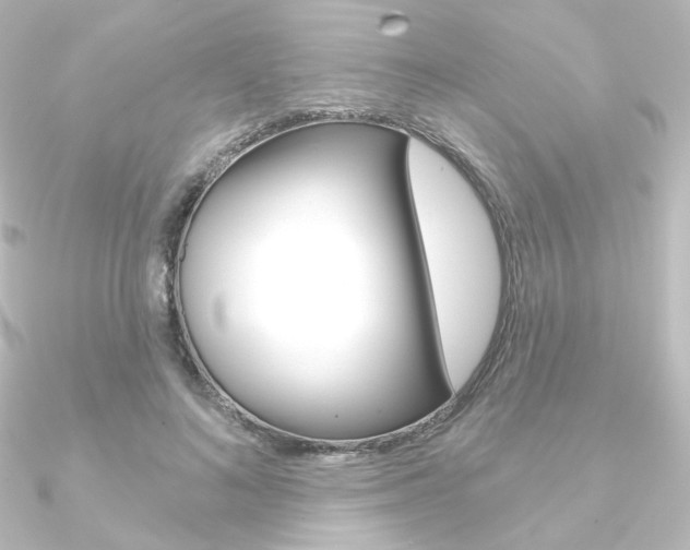 X0000090950692200708021101