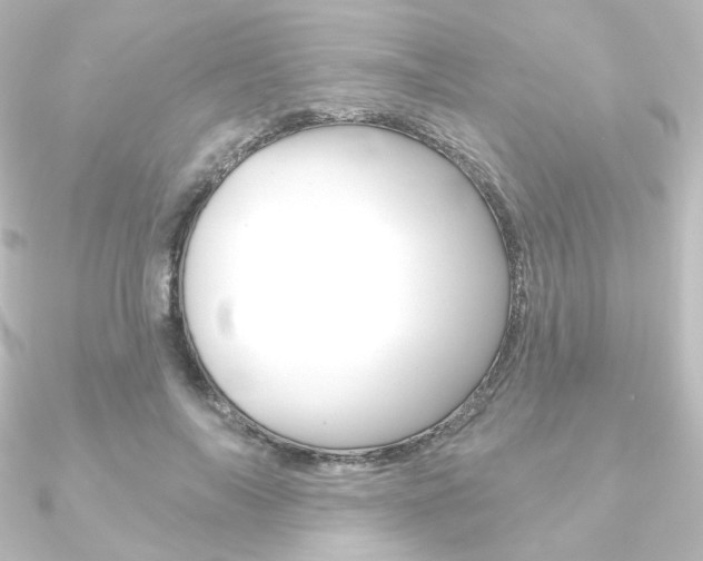 X0000090950694200708021101