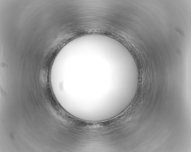 X0000090950695200708021101