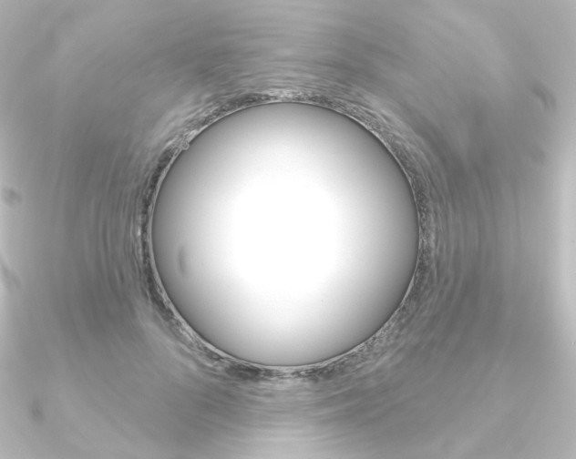 X0000090950696200708021101